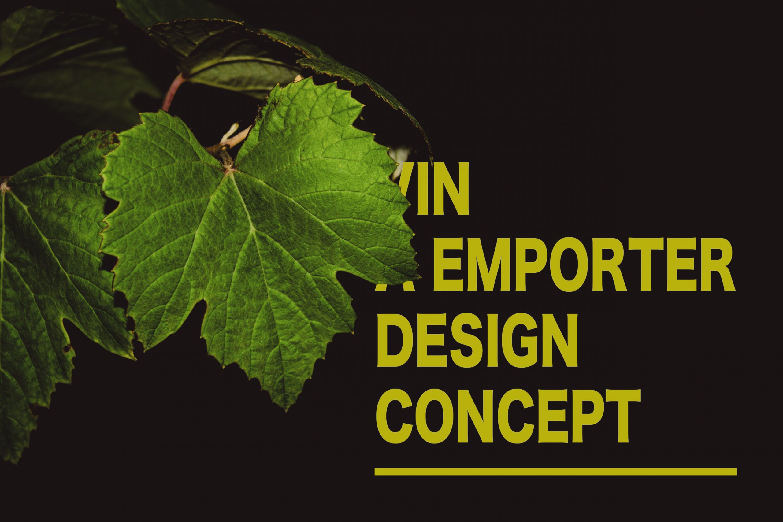 Concept création design vin0