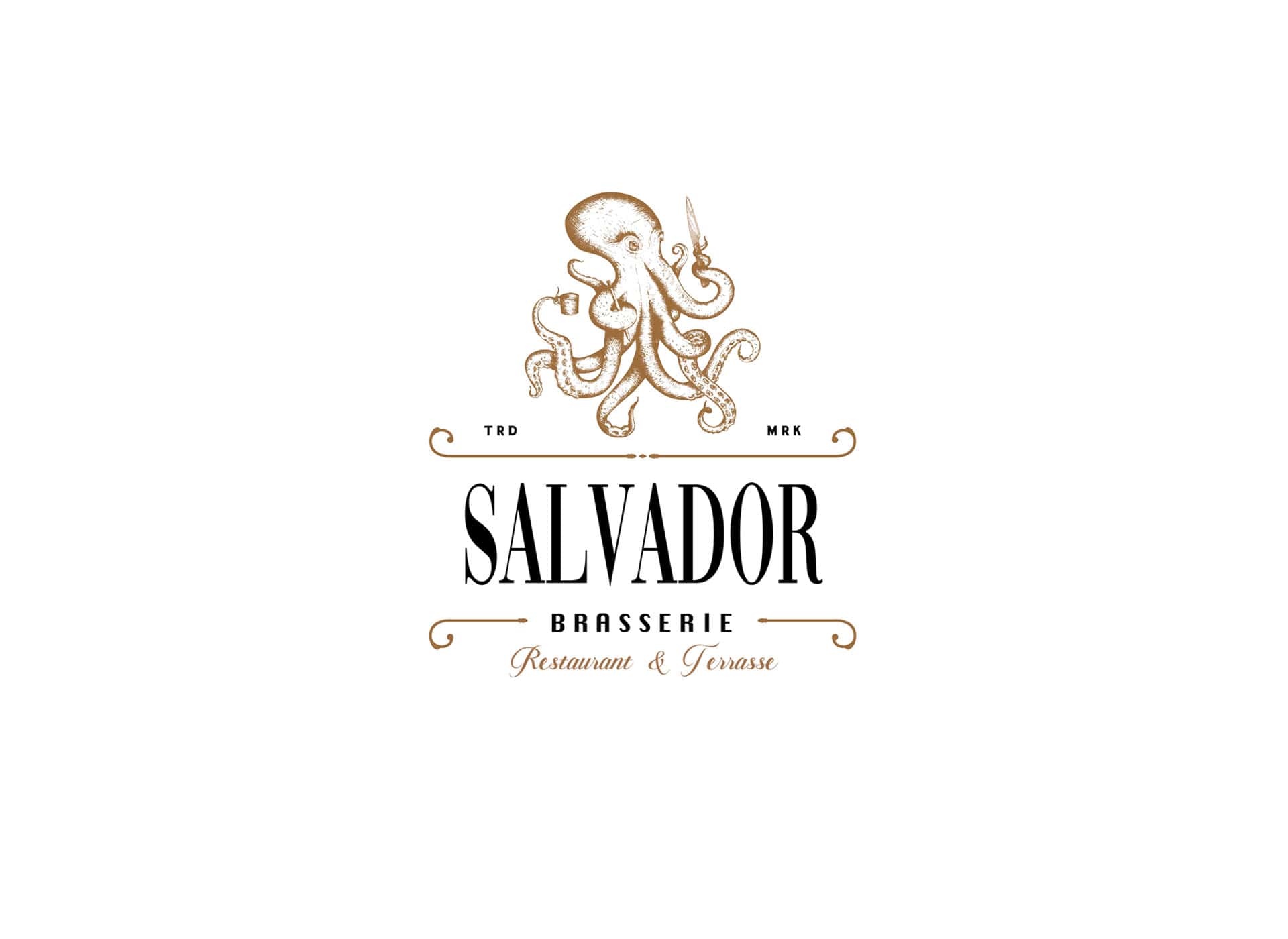 Design création brasserie salvador 0